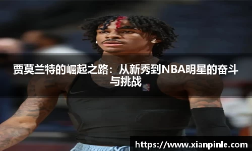 贾莫兰特的崛起之路：从新秀到NBA明星的奋斗与挑战